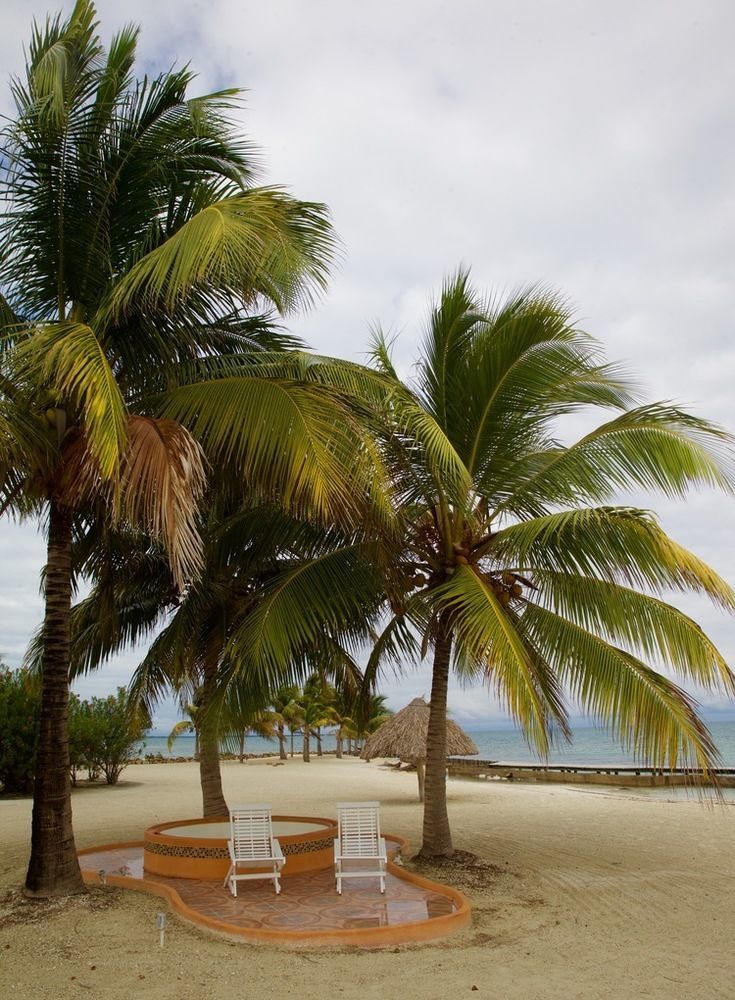 Royal Belize Hotel Thatch Caye Exterior foto