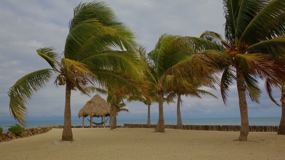Royal Belize Hotel Thatch Caye Exterior foto